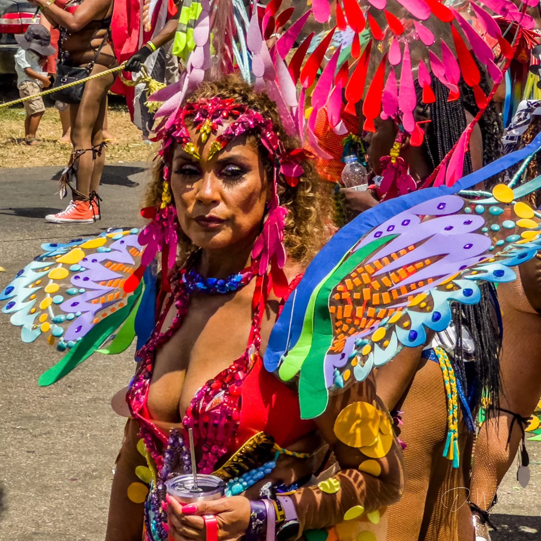 Carnival butterfly costume